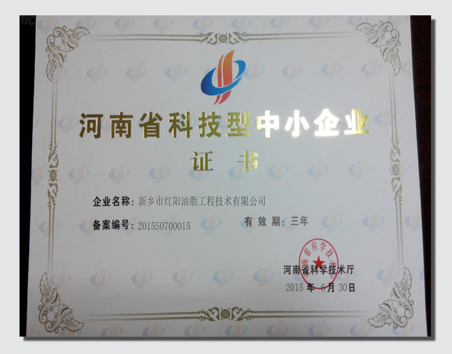 河南省科技型企業證書